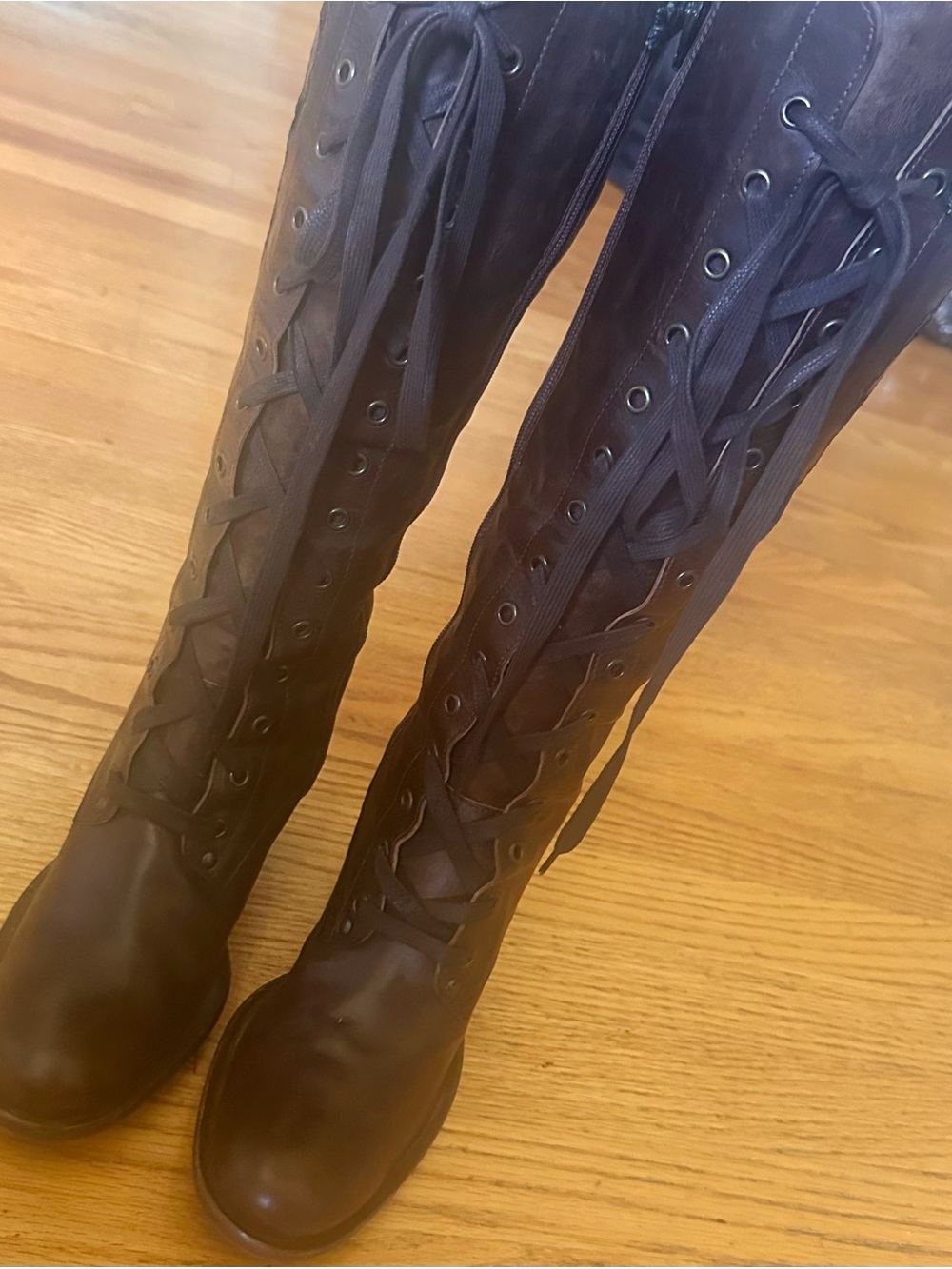 Mark Nason Tall Lace-Up Riding Boots in Dark Brown